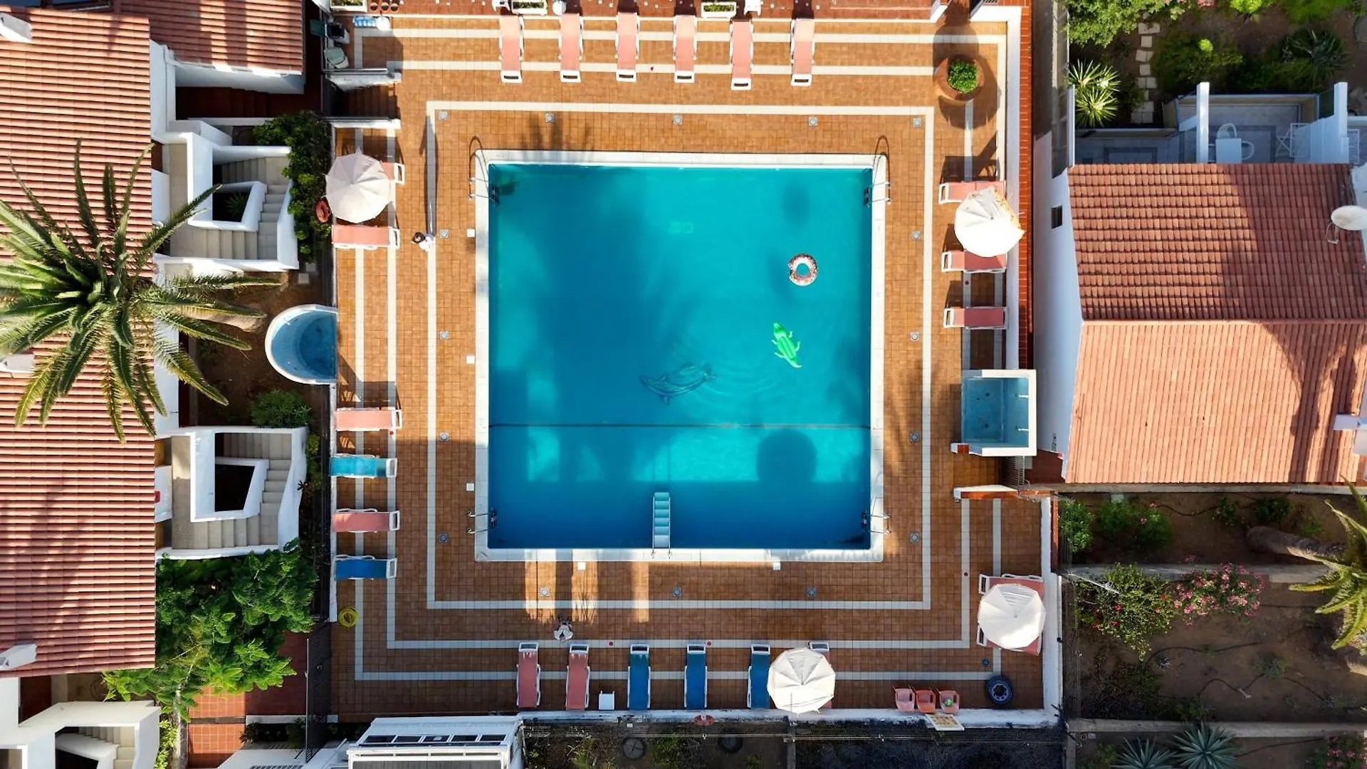 Studio Las Americas Monkey Beach Playa de las Americas